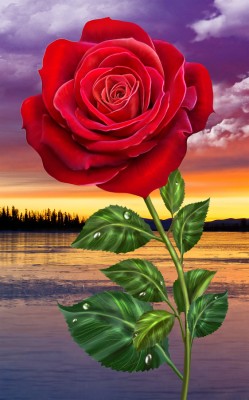 Live Wallpaper 3d Rose Flower Image Num 91