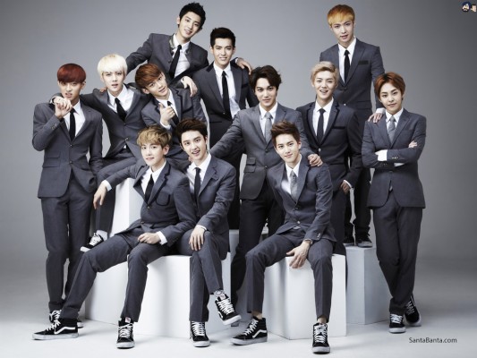 Exo 12 members profile