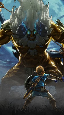 Legend Of Zelda Phantom Hourglass - 750x1334 Wallpaper - teahub.io