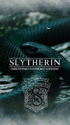 Slytherin Wallpaper - Aesthetic Slytherin Background - 1080x1920