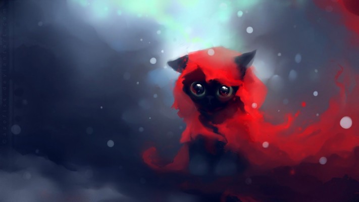 50 Hd 4k Illuminati Wallpapers 1440p For Desktop - Red Riding Hood Cat