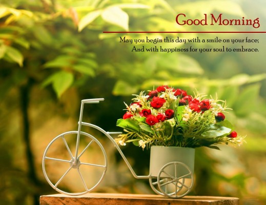 Download Good Morning Download Wallpapers And Backgrounds - Teahub.io