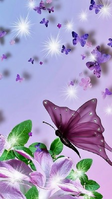 2160x1920, Free Butterfly Wallpaper For Kindle Fire - Whatsapp Dp ...
