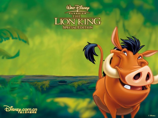 Timon Pumbaa Hakuna Matata 1920x1080 Wallpaper