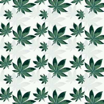 Download 420 Wallpapers and Backgrounds 