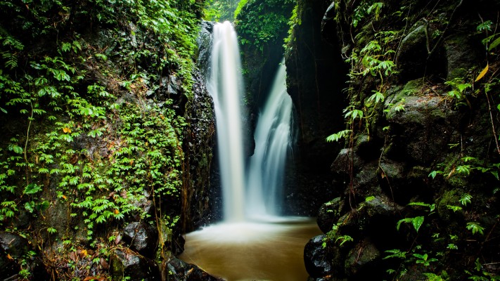 Spring Forest Waterfall Background 4k Wallpaper - Jungle Creative Commons -  3840x2160 Wallpaper 