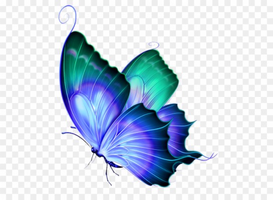 10 Fakta Unik Soal Kupu-kupu Yang Belum Pernah Kamu - Motýlí Křídlo