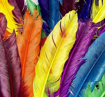 Hd Wallpapers For Android Phones Hd Wallpapers Inn - Colorful Feathers ...