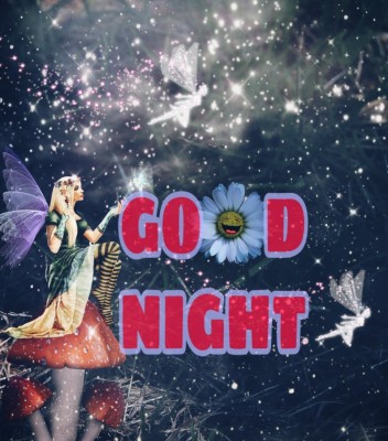 Good Night Logo - Fairy - 794x900 Wallpaper - teahub.io