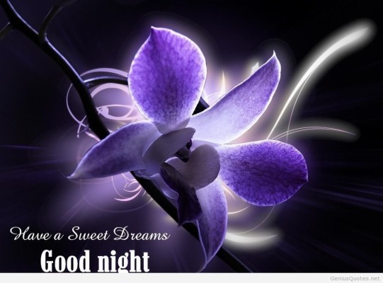 Good Night Quotes And Sweet Dreams Images For A Good - Sweet Dreams ...