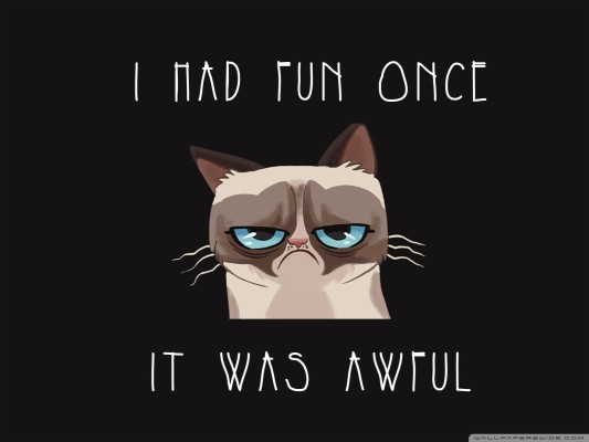 Grumpy Cat Meme I Had Fun Once - 1600x1200 Wallpaper - teahub.io