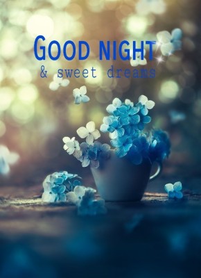 Quote Good Night Greetings - 654x900 Wallpaper - teahub.io