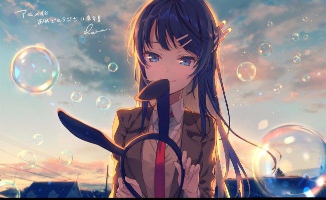 Anime Girl Wallpapers Seishun Buta Yarou Wa Bunny Girl Senpai No Yume O Minai 1754x1079 Wallpaper Teahub Io