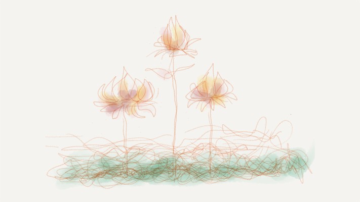 Ipad Pro Wallpaper Drawing  - HD Wallpaper