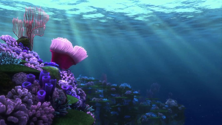 Finding Nemo Wallpaper Nemo Turtle 1024x768 Wallpaper Teahub Io