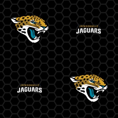 Jaguar Nfl - 900x900 Wallpaper - teahub.io