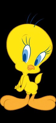 Tweety Bird Blue Background - 1024x768 Wallpaper - teahub.io