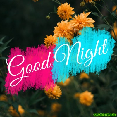 Download New Good Night Wallpapers and Backgrounds - teahub.io