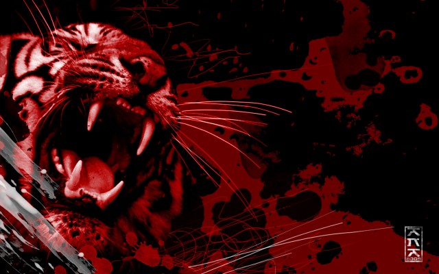 Red-week - Swamp Tigers Dvd And Book - 1280x800 Wallpaper 