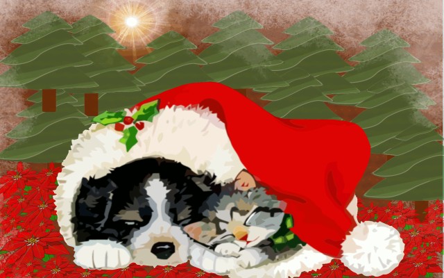 christmas puppy and kitten wallpaper