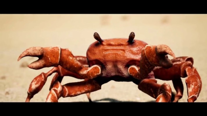 Crab From Crab Rave 1000x562 Wallpaper Teahub Io