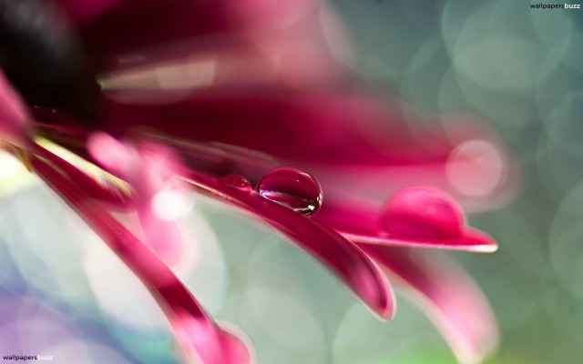 Cover Photos Water Drop - 1920x1200 Wallpaper - teahub.io