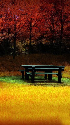 Nature Beauty Hd Desktop Galaxy S3 Samsung Wallpape Hd Wallpapers Nature 7x1280 Wallpaper Teahub Io