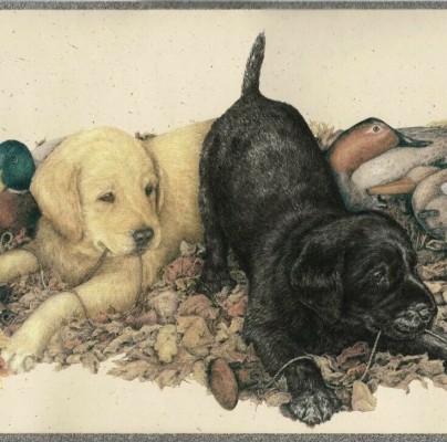 Labrador Retriever Wallpapers For Desktop - Yellow Labrador - 2048x1536