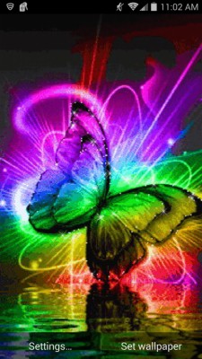 Live Butterfly Wallpaper - Colourful Butterflies Gif - 640x1136 ...