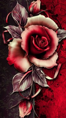 Download Rose Live Wallpapers and Backgrounds 