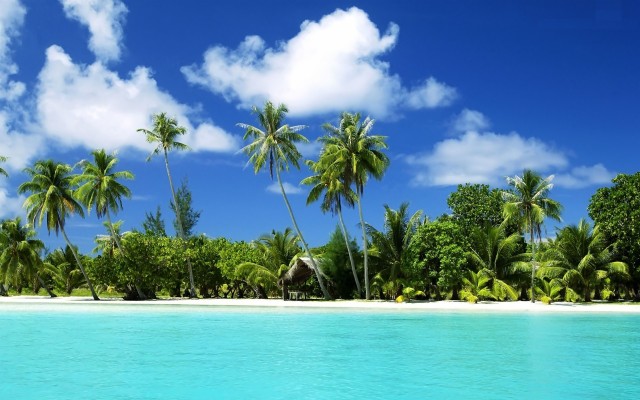 Tropical, Beach, Widescreen, High, Resolution, For, - Tropical Scenes ...