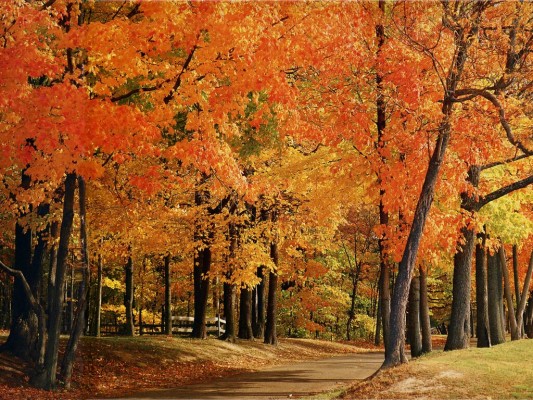 Indiana Park County Trees - Fall In Southern Indiana - 1024x768 ...