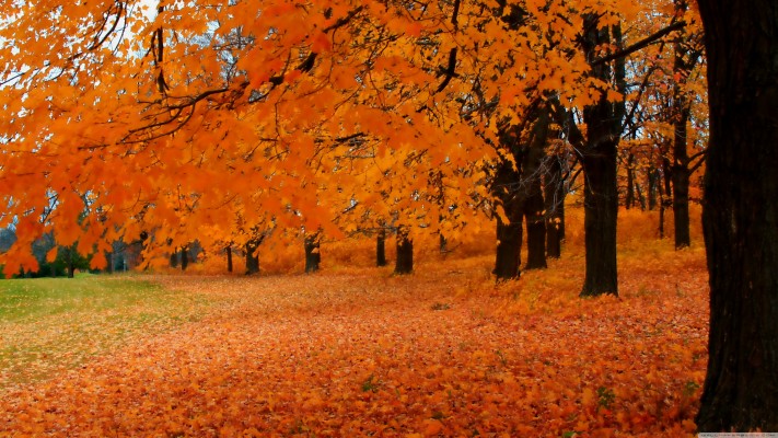 Autumn In Wisconsin - 3840x2160 Wallpaper - teahub.io