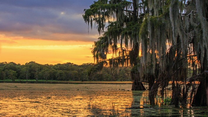 Bayou In Sunset Louisiana - 1600x900 Wallpaper - teahub.io