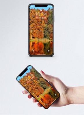 Wallpaper Bergerak Woods Musim Luruh - Ảnh Tiền Hình Nền Điện Thoại  - HD Wallpaper