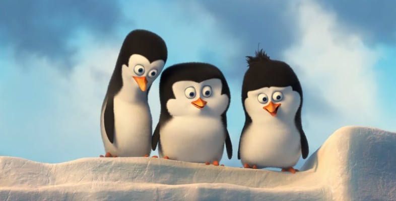 Three Penguins Of Madagascar - 1355x689 Wallpaper - teahub.io