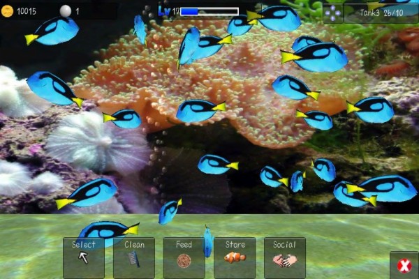 Wallpaper Ikan Bergerak Untuk Handphone Aquarium 3d Screensaver