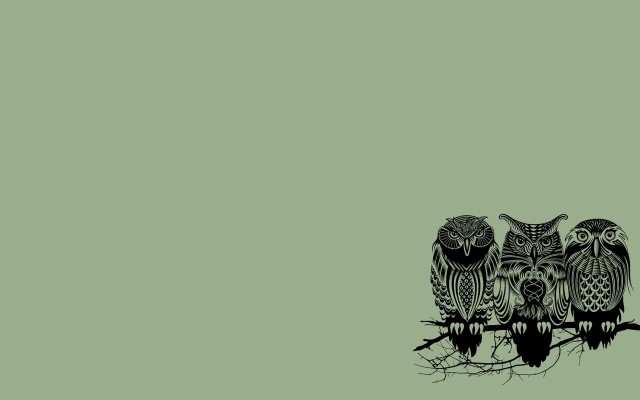 Desktop Backgrounds Owl - 1920x1200 Wallpaper - teahub.io