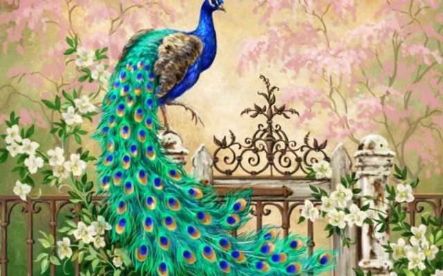 Pretty Peacock Garden Gate Desktop Pc And Mac Wallpaper - Peacock