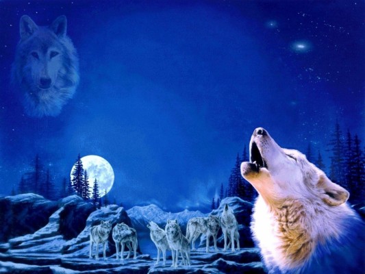 Anime Wolf Pack Wallpapers Hd Resolution For Laptop - Wolf Pack Howling ...