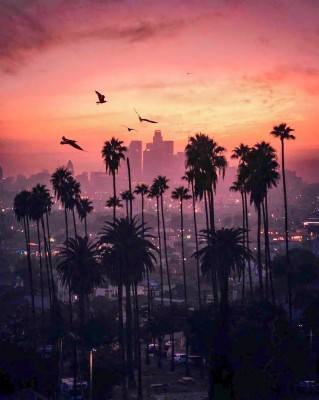 Los Angeles California Wallpaper Sunset - 819x1024 Wallpaper - teahub.io