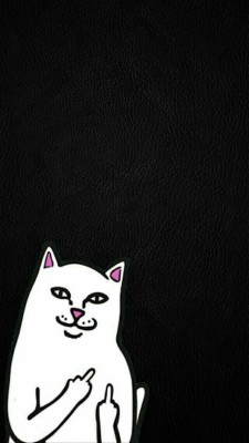 Ripndip Iphone Wallpaper 32 Best Ripndip Images On Iphone 壁紙 パステル カラー 1080x19 Wallpaper Teahub Io