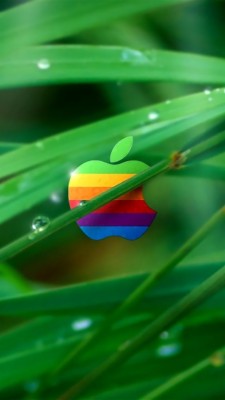 Cool Colors Apple Wallpaper - 1920x1080 Wallpaper - teahub.io