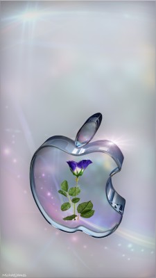 Blue Glass Apple Wallpaper Stylish S Letter Dp 1080x19 Wallpaper Teahub Io